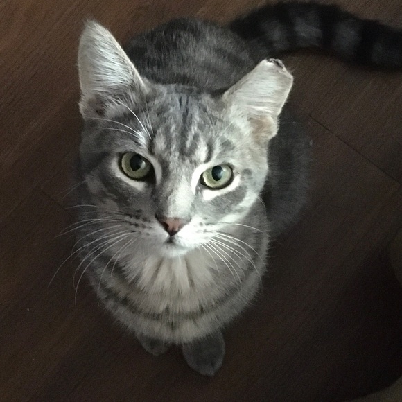 Meet your Posher, Roxanne - Picture 9 of 15